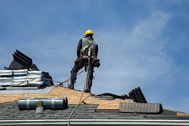 Professional Flat Roof Repair technician working in Colfax, IL
